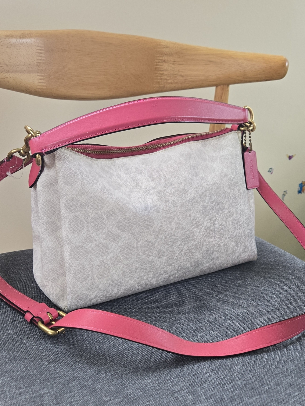 Coach Signature Crossbody Bag